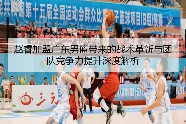 赵睿加盟广东男篮带来的战术革新与团队竞争力提升深度解析