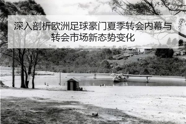 深入剖析欧洲足球豪门夏季转会内幕与转会市场新态势变化