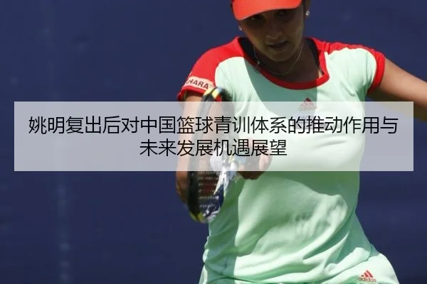 姚明复出后对中国篮球青训体系的推动作用与未来发展机遇展望