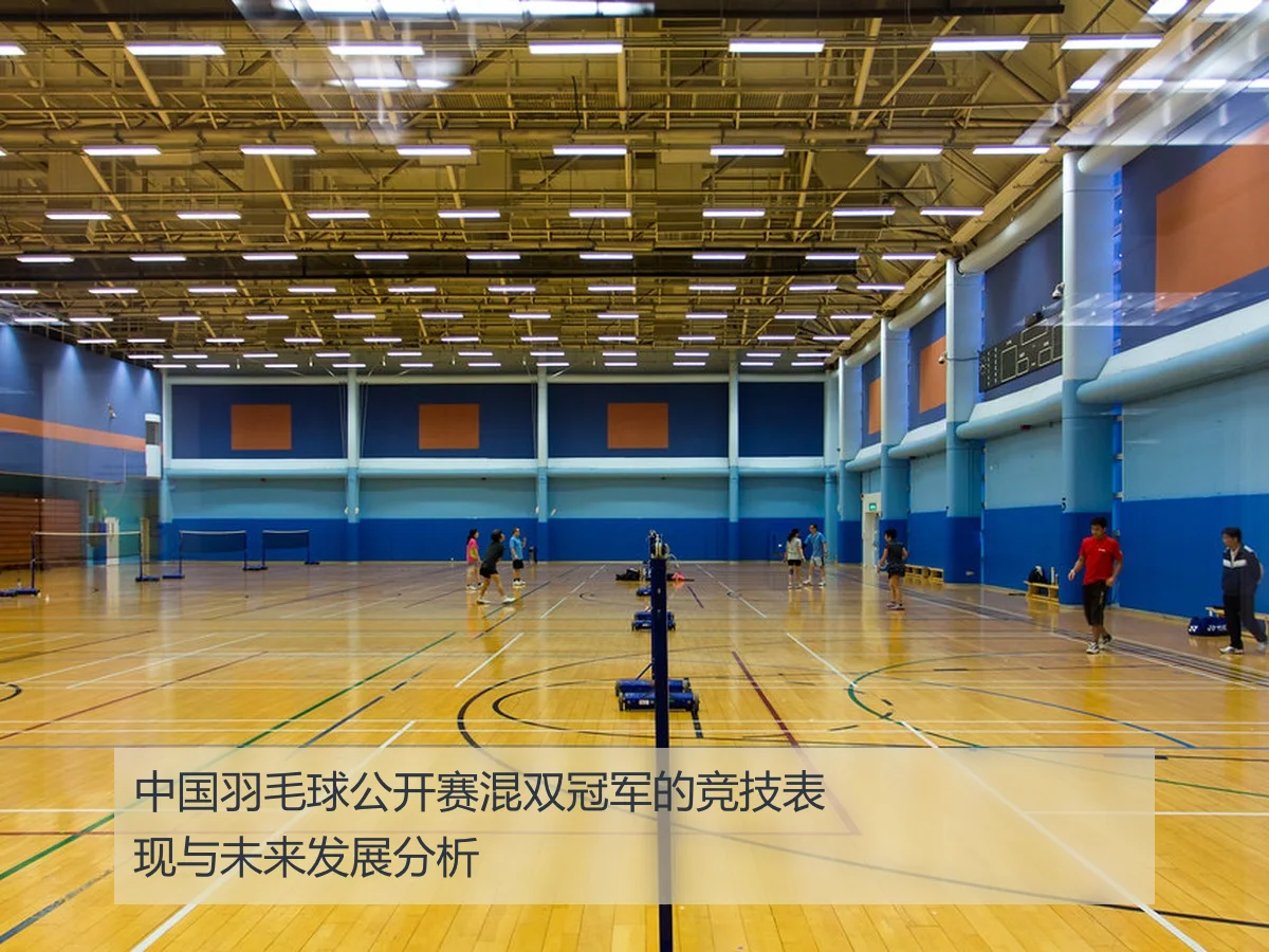 中国羽毛球公开赛混双冠军的竞技表现与未来发展分析